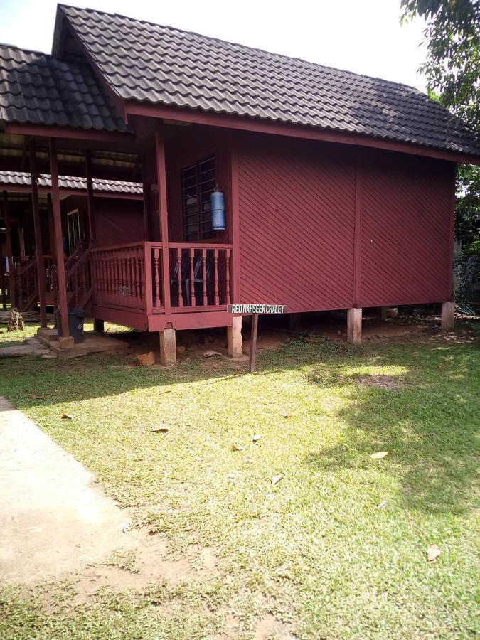 Mahseer Chalet Kuala Tahan Exterior foto