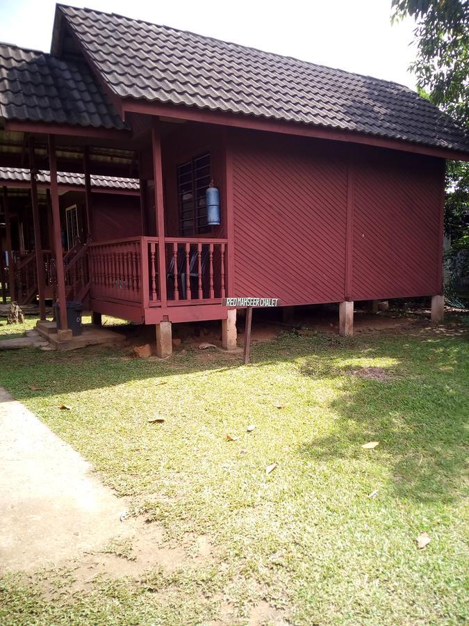 Mahseer Chalet Villa Kuala Tahan Exterior foto